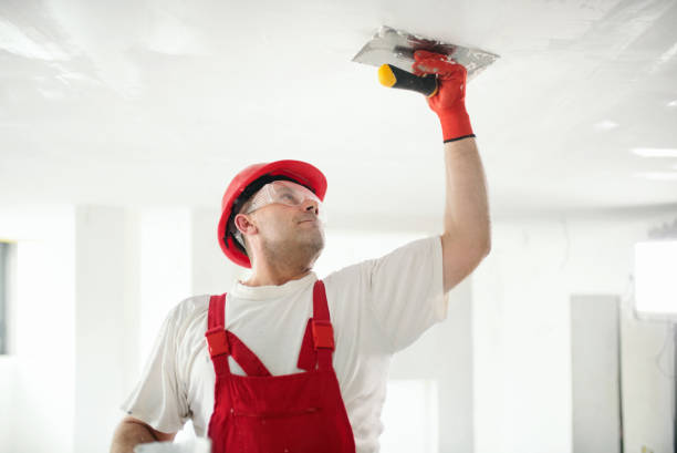 Best Emergency Mold Remediation  in Bridgeport, PA