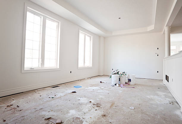 Best Basement Mold Removal  in Bridgeport, PA