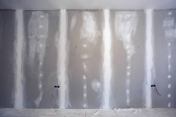 Reliable Bridgeport, PA Mold Removal Solutions